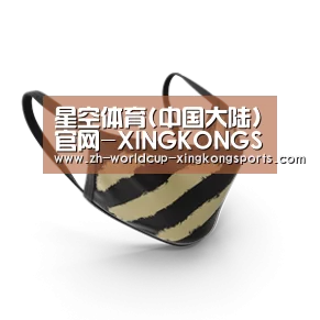 成人布口罩